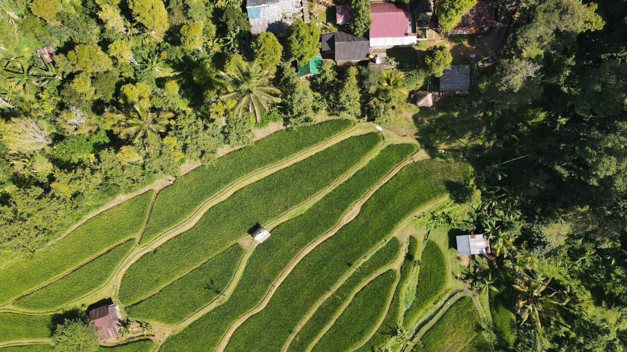 Friendly Homestay Lemukih Singaraja Eksteriør billede