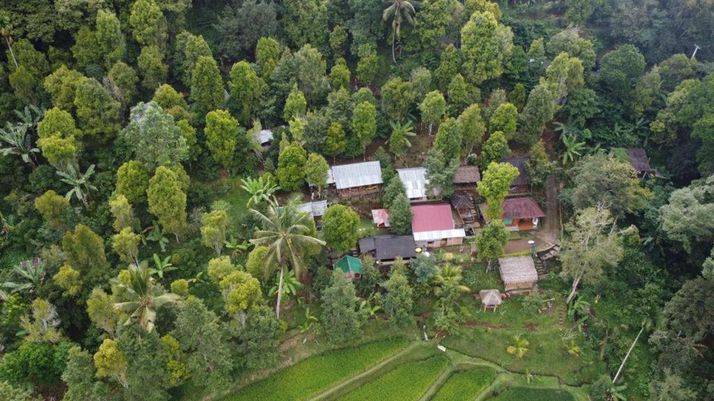 Friendly Homestay Lemukih Singaraja Eksteriør billede