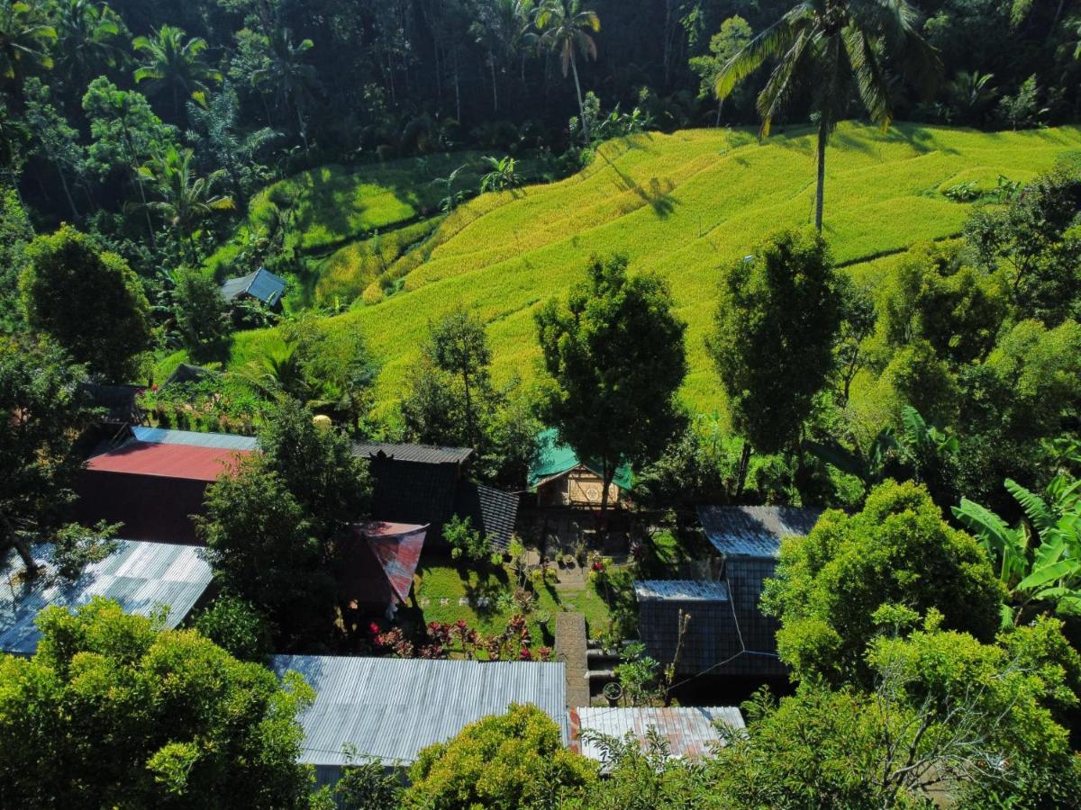 Friendly Homestay Lemukih Singaraja Eksteriør billede